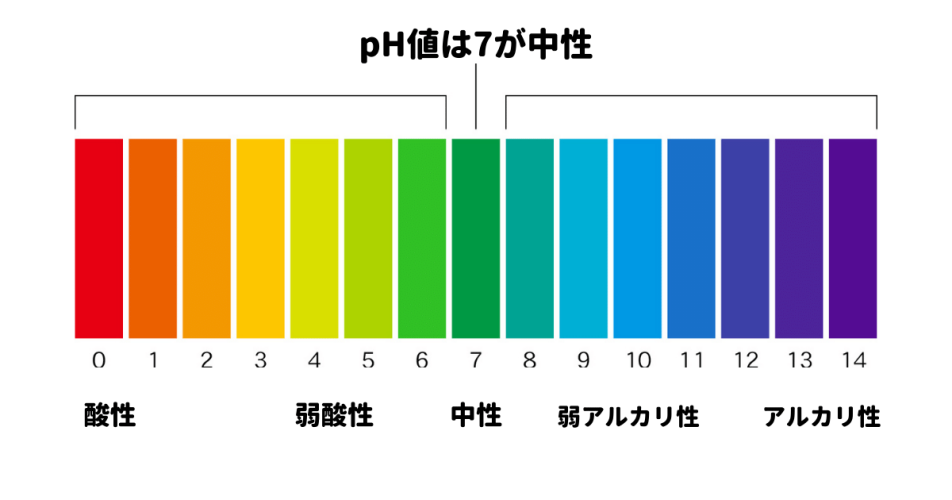 ジュンビーピンクゼリー