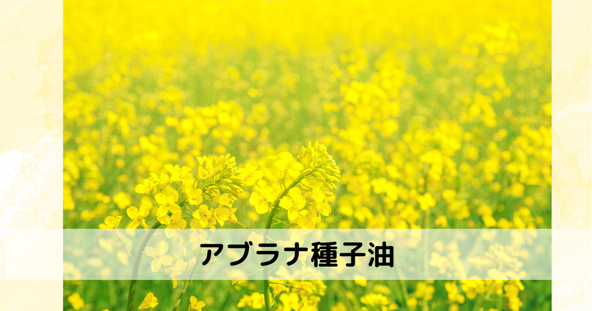 アブラナ種子油