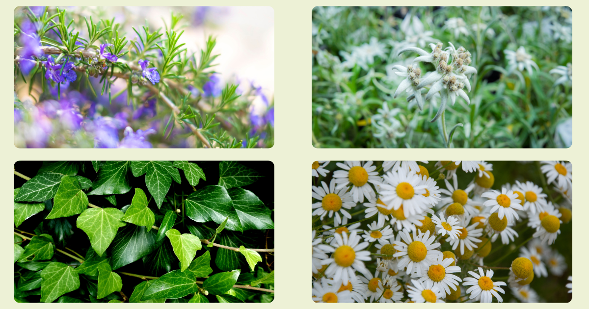 天然由来27種のうるおい成分