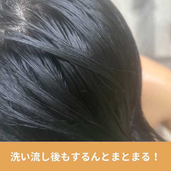 ボンパルムシャンプーまとまり